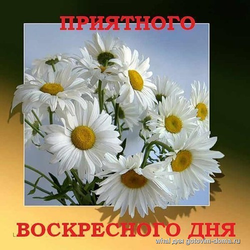 0_28767_64949bd8_L.jpg
