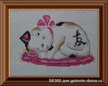 котя.jpg