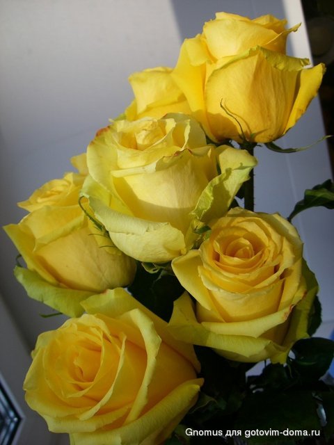 IMGP0259.JPG