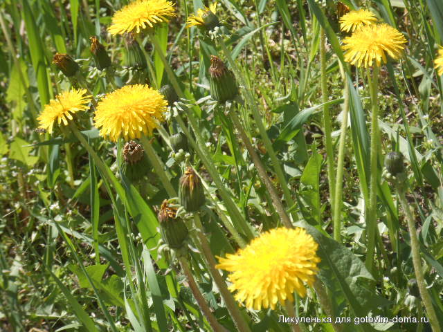 DSCN1762.JPG