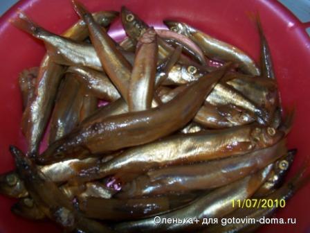100_2880.jpg