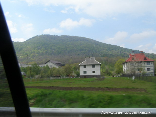 P5010057.jpg