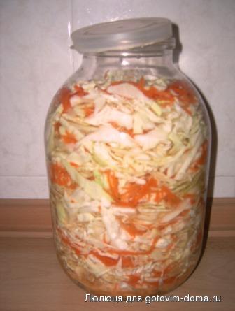 квашенная.JPG