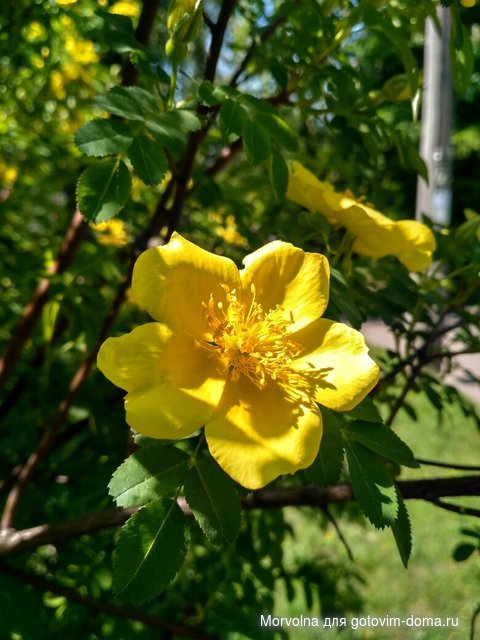 IMG_20170507_113957_HDR.jpg