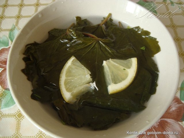 DSC08284.JPG