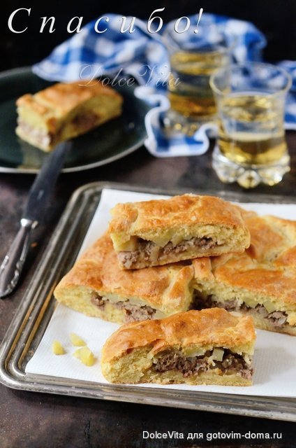 pirog sp.jpg