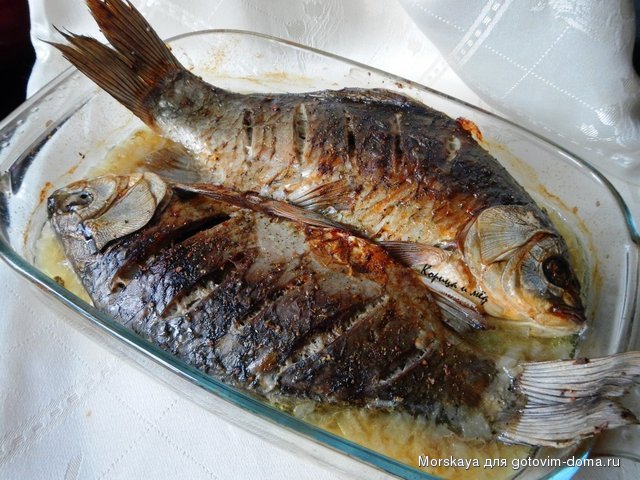 DSCN9174.JPG