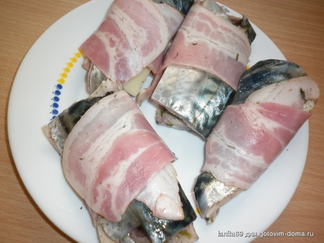 P1060605.jpg