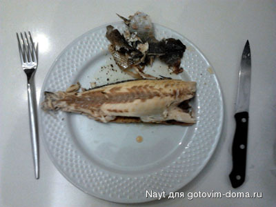 Морской судак.jpg