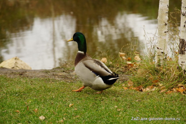 DSC04589.JPG