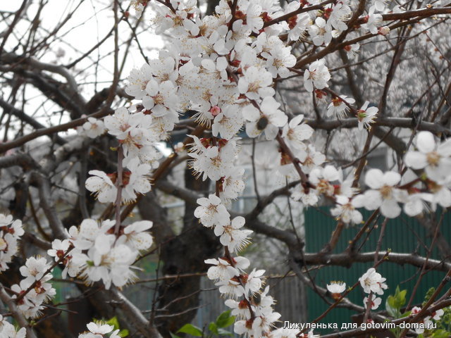 DSCN0481.jpg