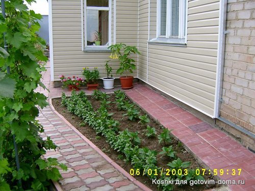 S3600004.JPG