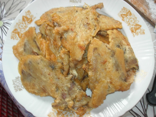 DSCN9934