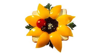 image02525