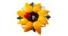 image02525
