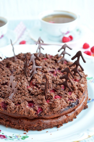 Шоколадно-творожный пирог с малиной