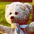 olympicbear