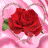 jasmin