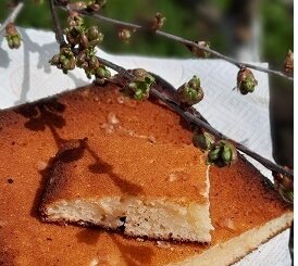Бисквитный пирог с корицей "Coca de llanda"