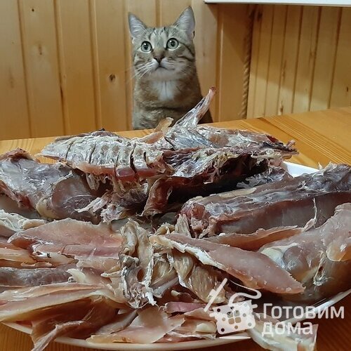 Вяленый Кролик