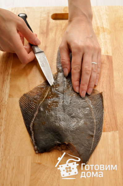 Камбала (разделка плоской рыбы на филе) фото к рецепту 2