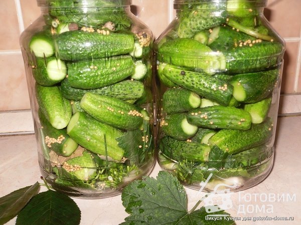 Маринованные огурчики по-польски фото к рецепту 4