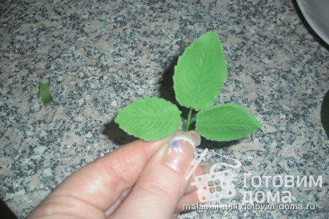 (MK) Розы  и как их собирать фото к рецепту 154