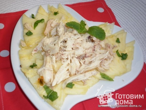 Карпаччо из ананаса и курицы фото к рецепту 4