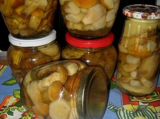 Маринованные белые грибы