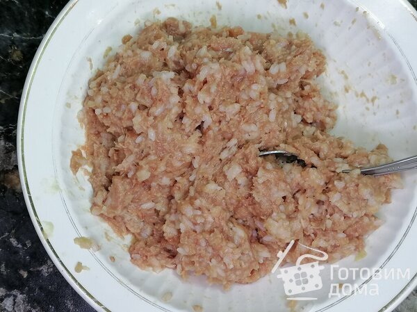 Тефтели с рисом с томатно-сметанной подливкой фото к рецепту 4