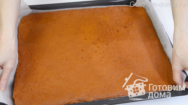 Медовик за 12 Минут (Ленивый и очень Вкусный рецепт Медового торта) фото к рецепту 12