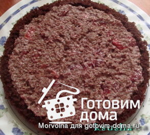 Торт &quot;Опьяневшая вишня&quot; фото к рецепту 2