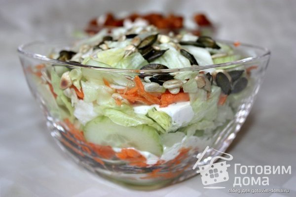 Овощной салат с мясом фото к рецепту 6