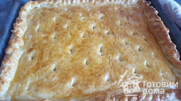 Пирожки с капустой фото к рецепту 6