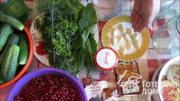 Огурцы с красной смородиной на зиму фото к рецепту 1