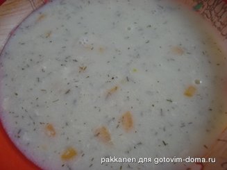 Котосупа (куриный суп)