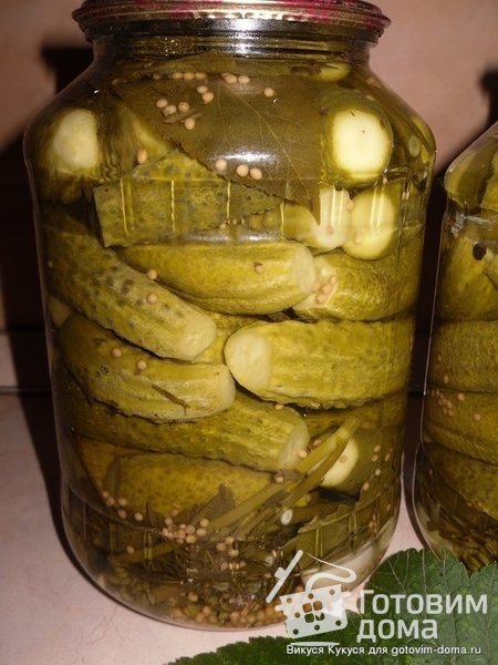 Маринованные огурчики по-польски фото к рецепту 1