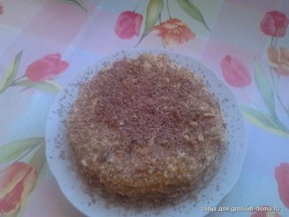 Наполеон для самых-самых ленивых