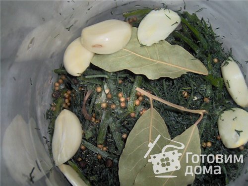 Малосольные огурчики фото к рецепту 2