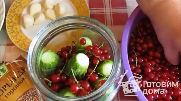 Огурцы с красной смородиной на зиму фото к рецепту 2