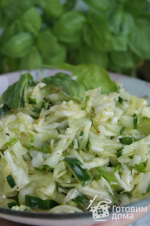 Салат из свежей капусты и огурцов