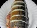 Соленая скумбрия с черносливом от куколка2900 Соленая скумбрия с черносливом от куколка2900