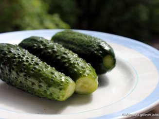Малосольные огурчики