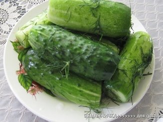 Солёные огурцы в пакете (экспресс-вариант, сухой посол)