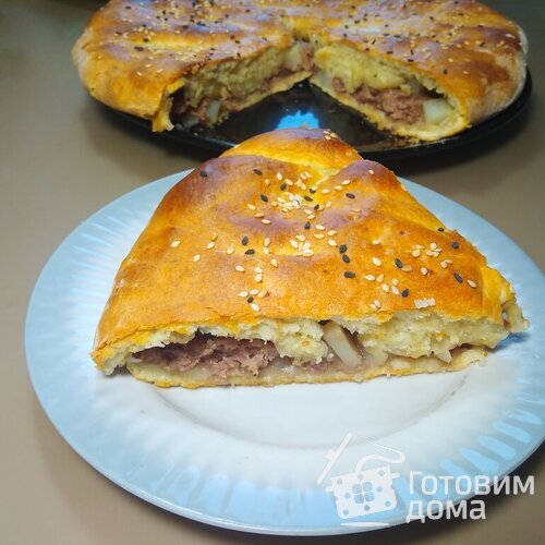 Пирог на кефире с мясом