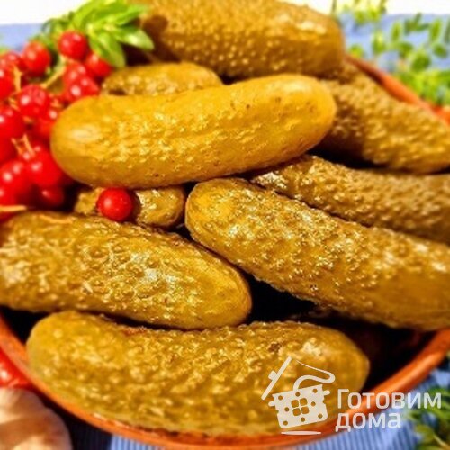 Огурцы соленые на зиму