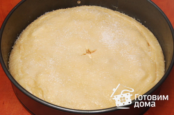 Яблочный пирог (постный) фото к рецепту 6
