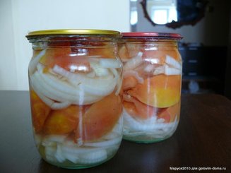 Салат из помидоров и репчатого лука