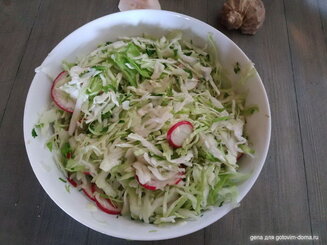 Салат с молодой капустой и огурцами