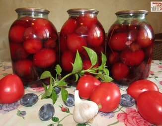 Маринованные помидоры со сливами